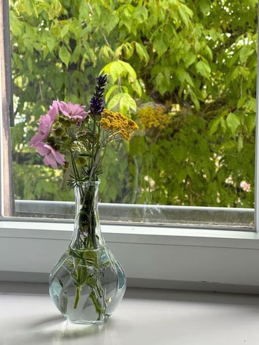 Aupres De Mon Arbre Apartment Pontmain Ngoại thất bức ảnh